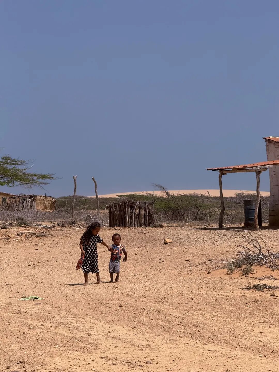 高瓜希拉荒漠里跑向车辆的 Wayuu 姐弟
